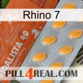 Rhino 7 43